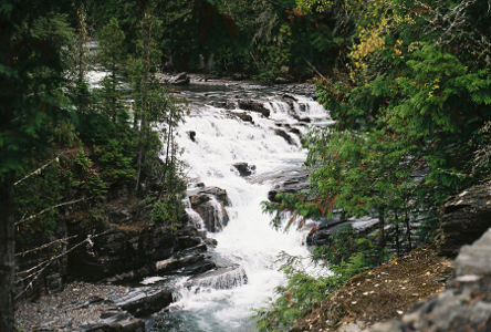 [After a wide flat section of rocks the water flows down a several step series of rock before making a a sharp left-hand turn. Through all that rock and turns a lot of whitewater is visible. There are tall trees surrounding the edges of the flat section and the falls section.]